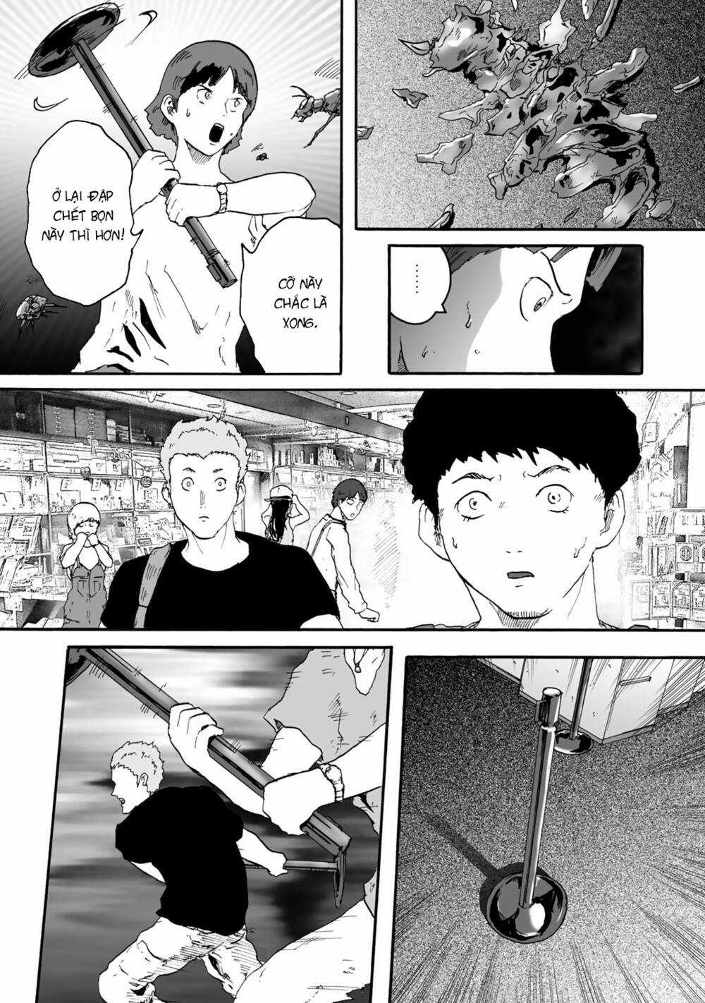 Insects R Chapter 2 trang 12