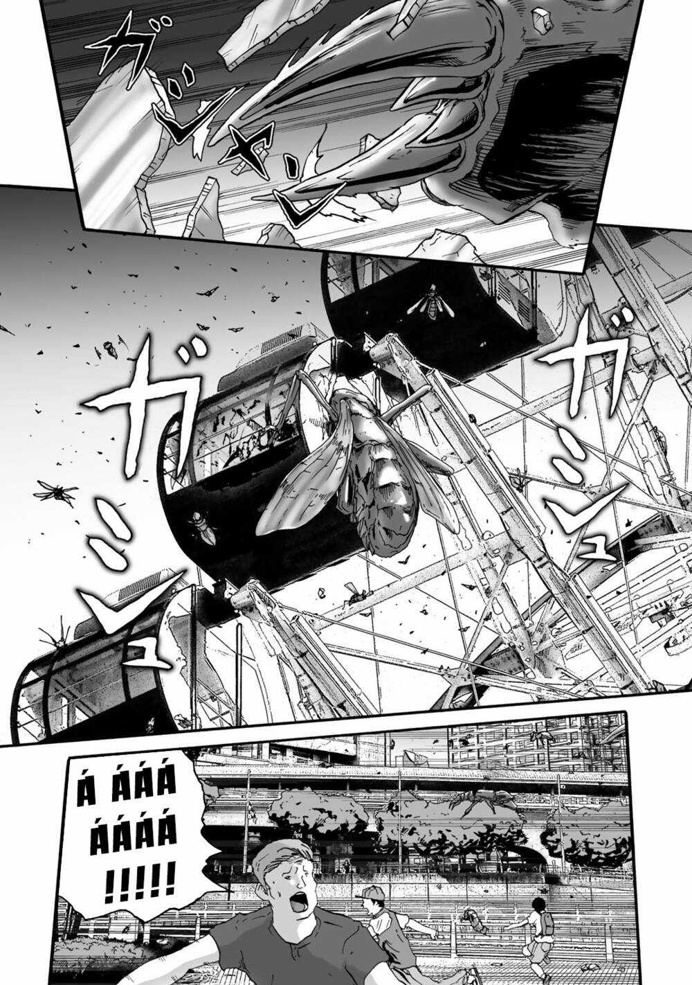 Insects R Chapter 2 trang 2