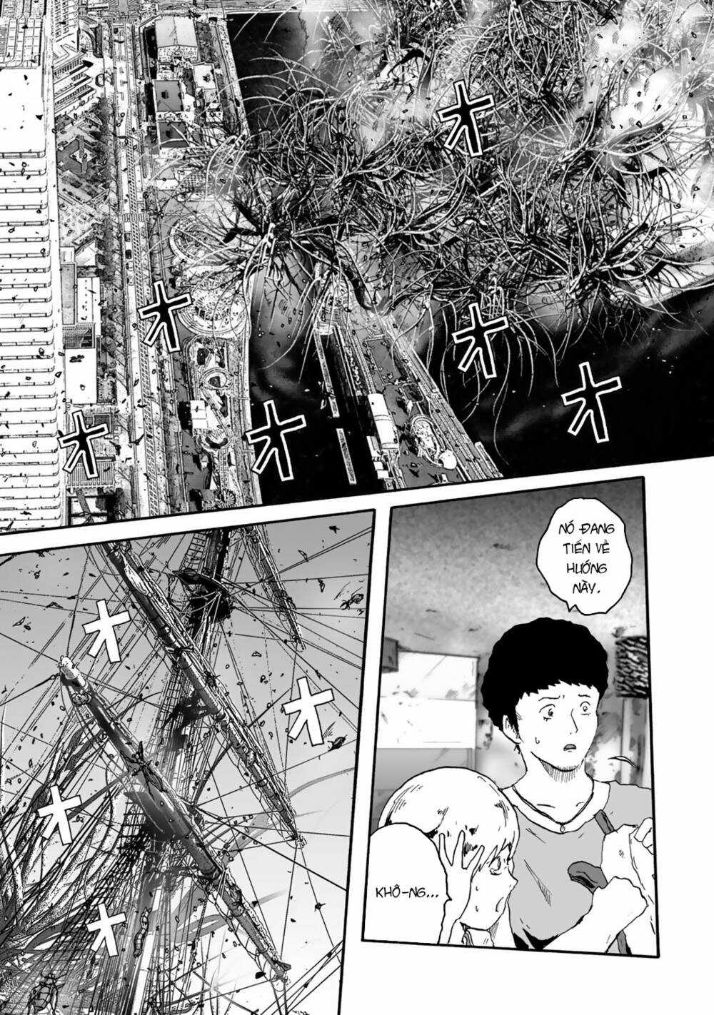 Insects R Chapter 2 trang 28