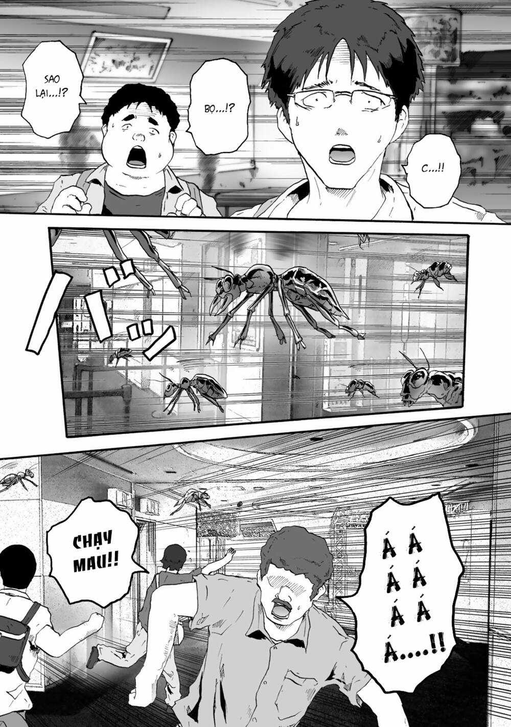 Insects R Chapter 2 trang 8