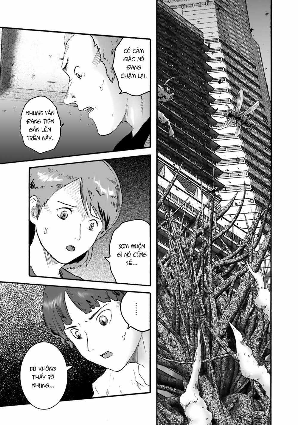 Insects R Chapter 3 trang 19