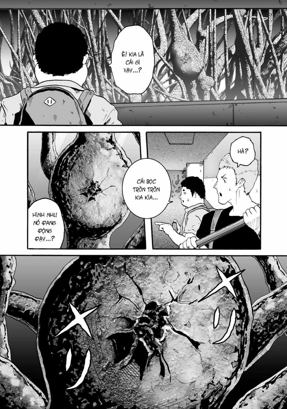 Insects R Chapter 3 trang 27