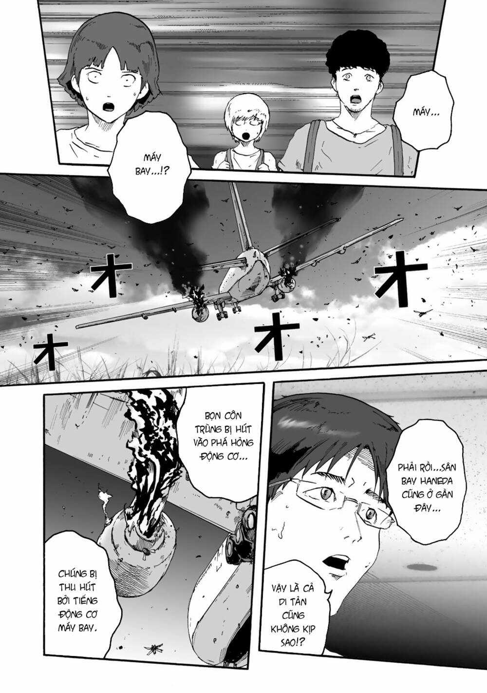 Insects R Chapter 3 trang 9