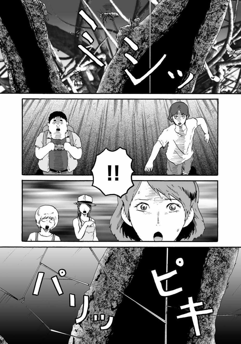 Insects R Chapter 4 trang 19