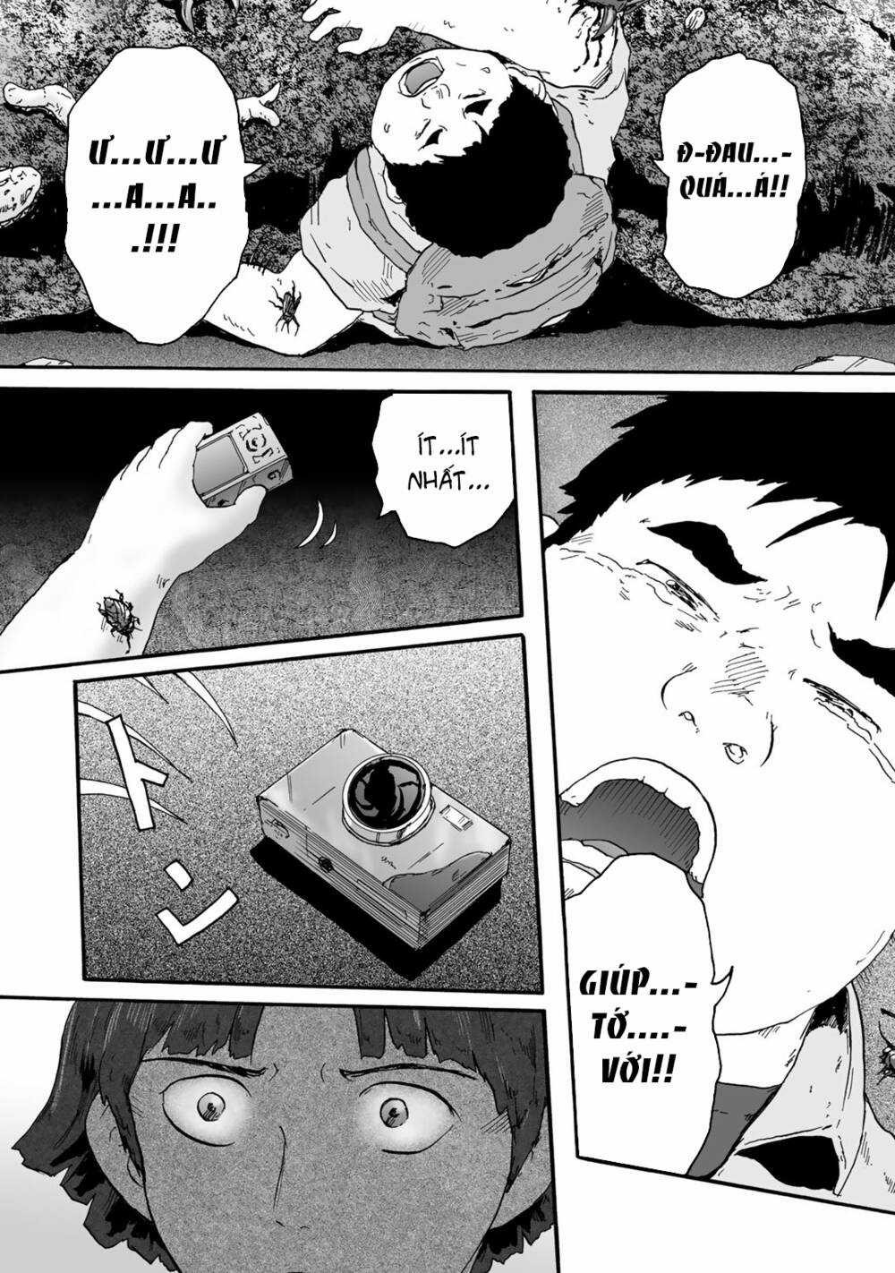 Insects R Chapter 4 trang 24