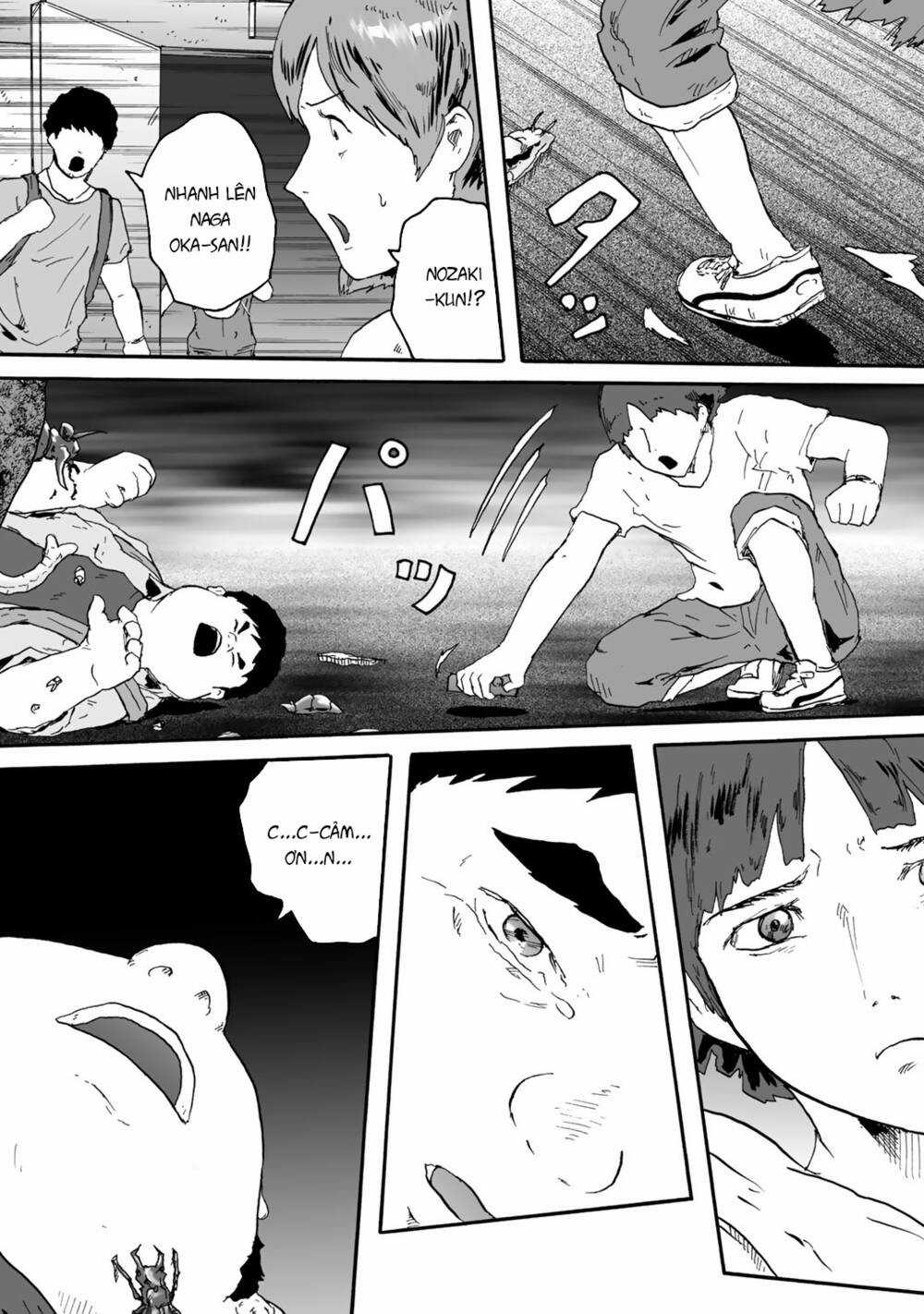 Insects R Chapter 4 trang 25