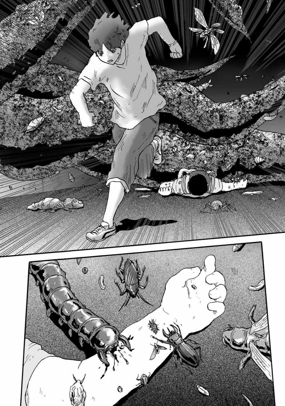 Insects R Chapter 4 trang 26