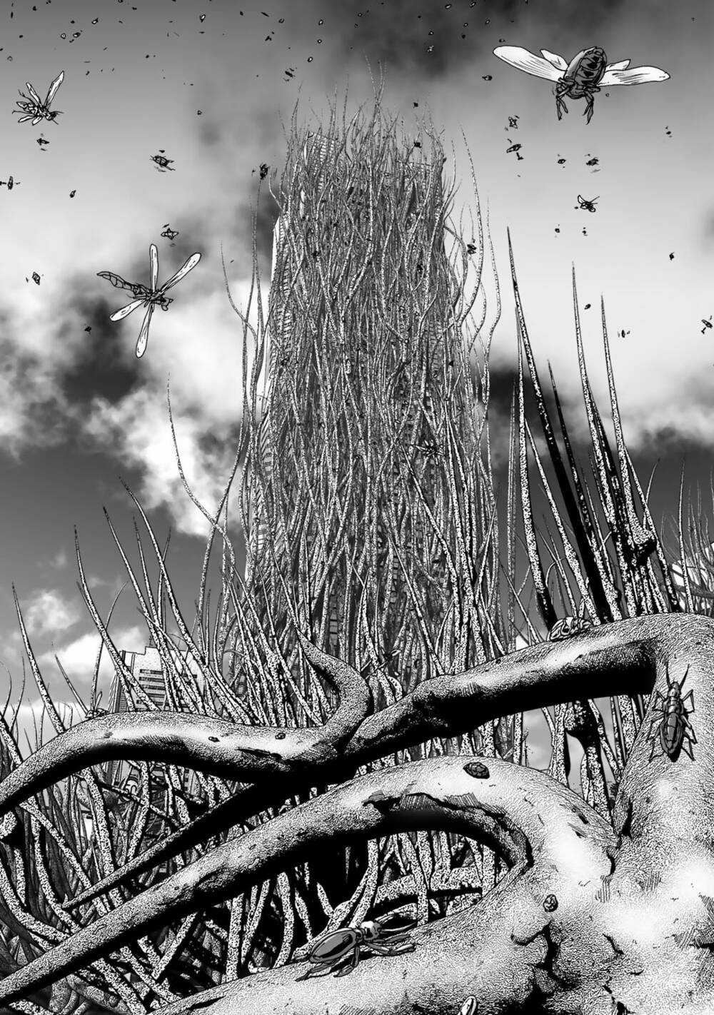 Insects R Chapter 4 trang 6