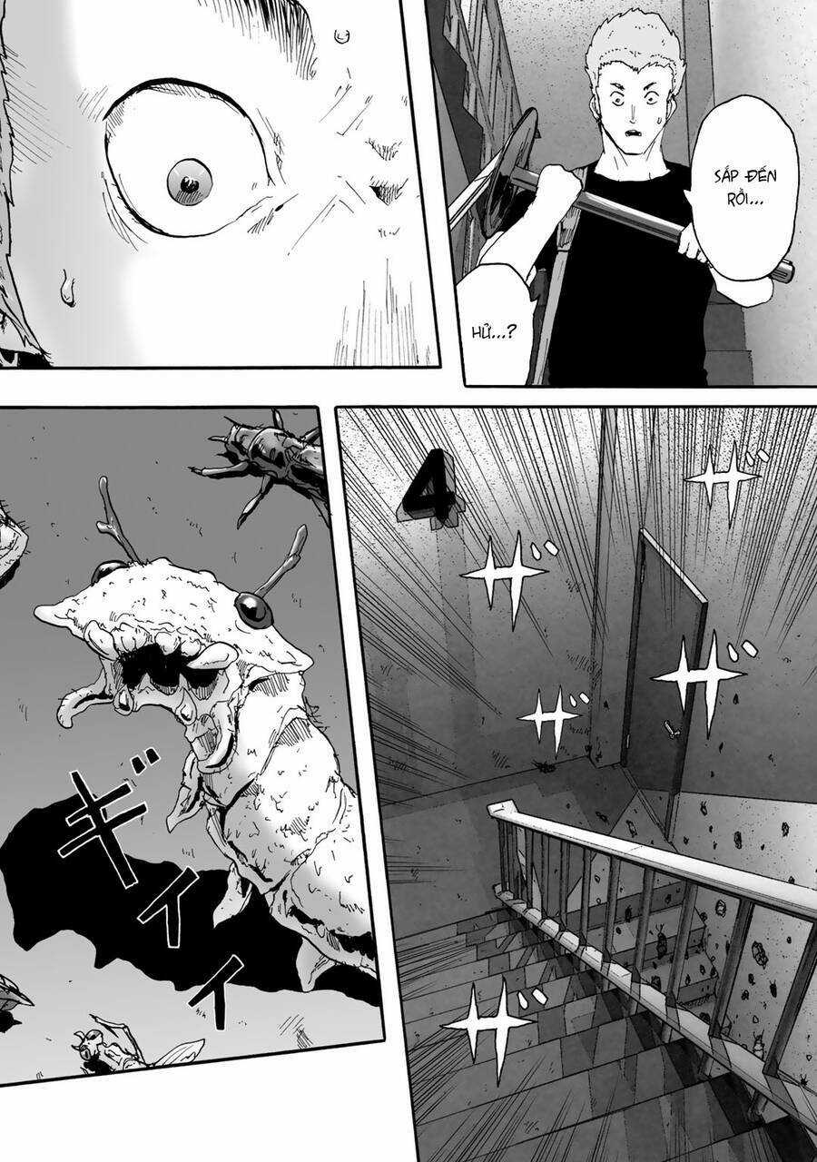 Insects R Chapter 5 trang 21