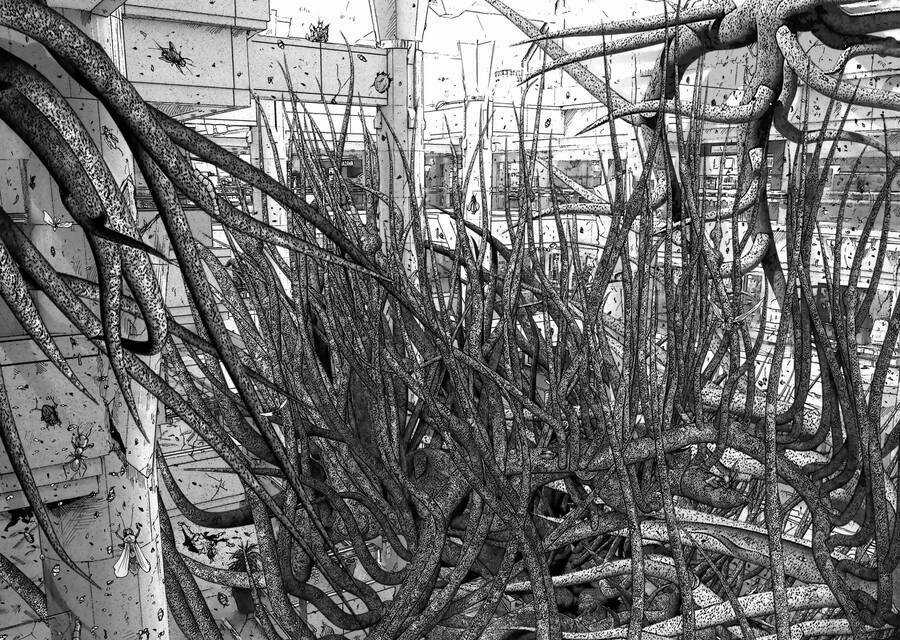 Insects R Chapter 5 trang 25