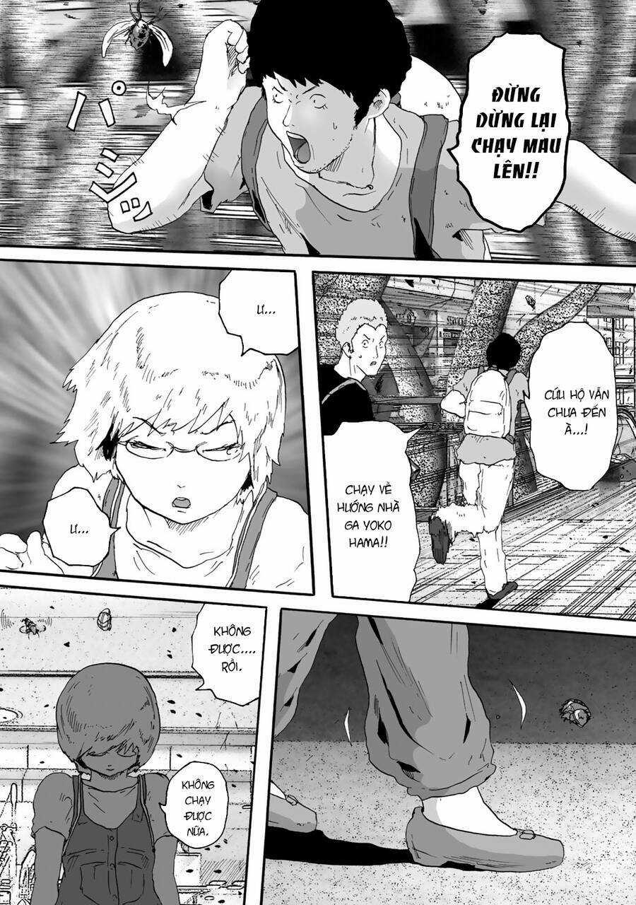 Insects R Chapter 5 trang 26