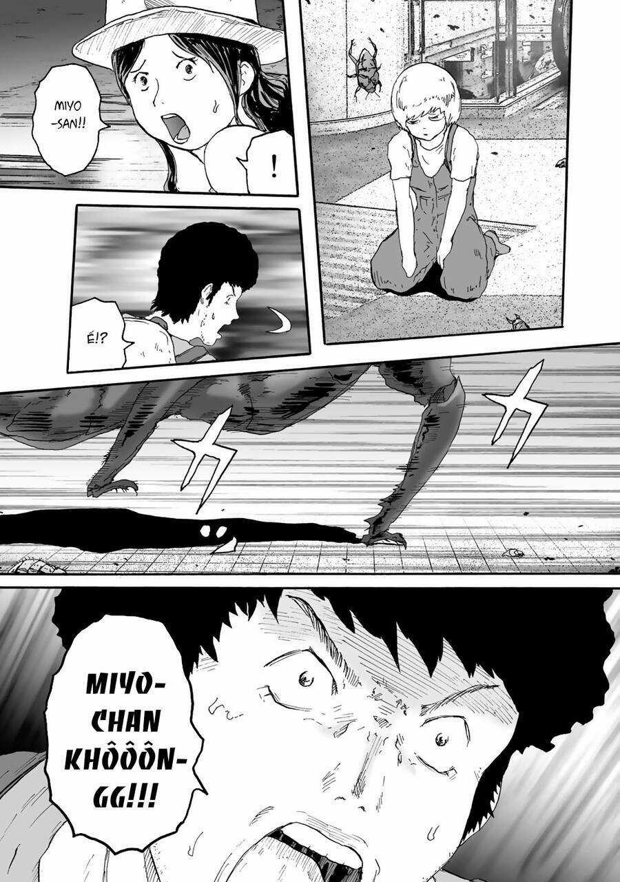 Insects R Chapter 5 trang 27