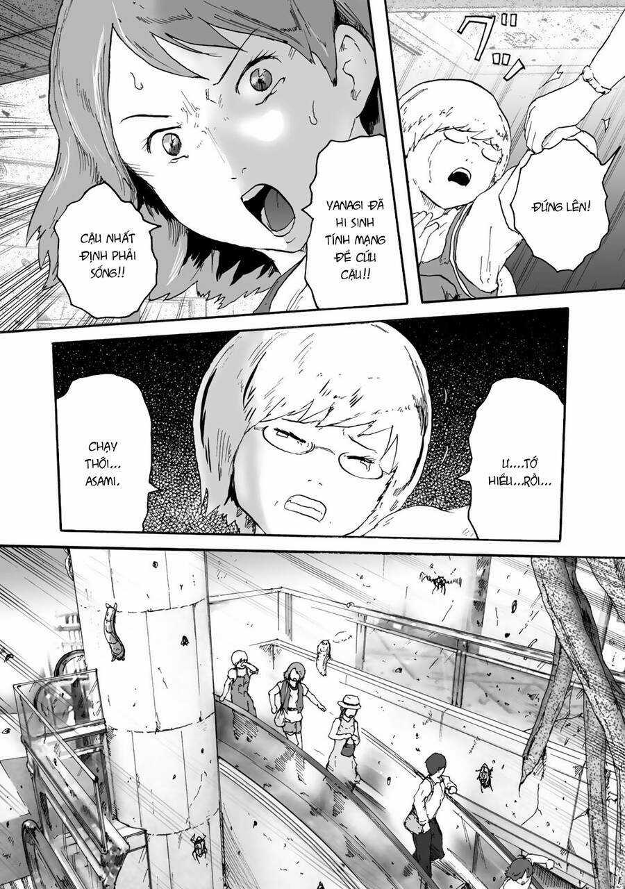 Insects R Chapter 6 trang 10