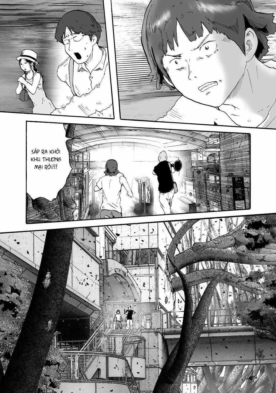 Insects R Chapter 6 trang 11