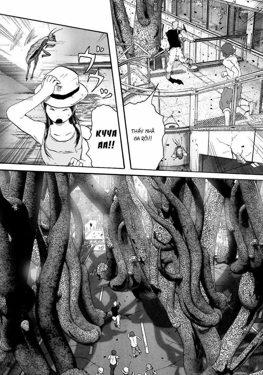 Insects R Chapter 6 trang 12