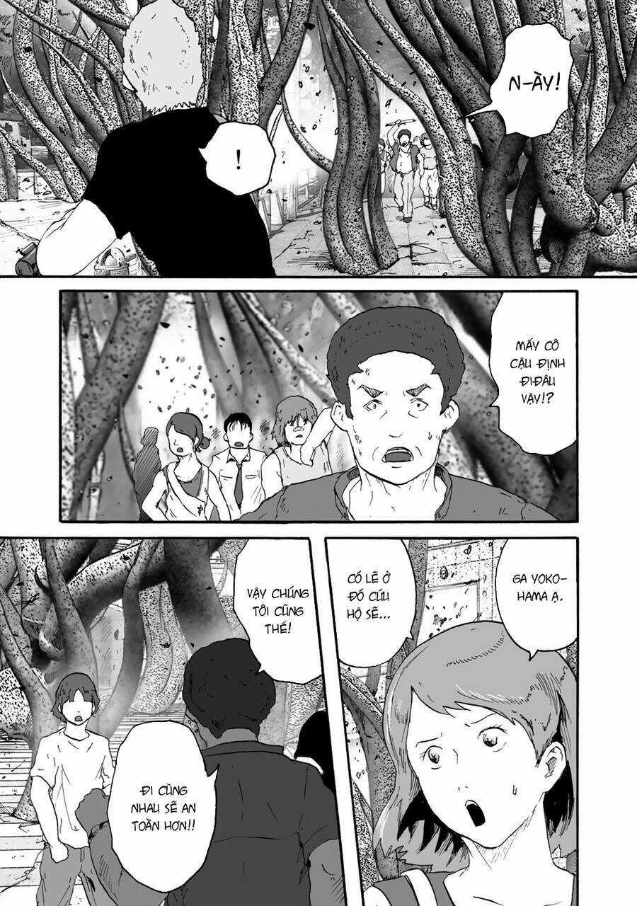 Insects R Chapter 6 trang 13