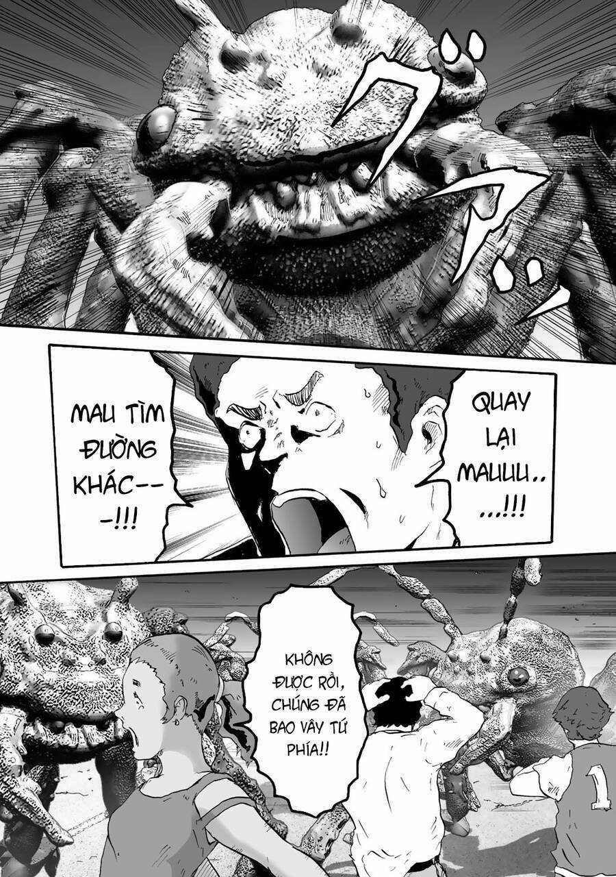 Insects R Chapter 6 trang 19