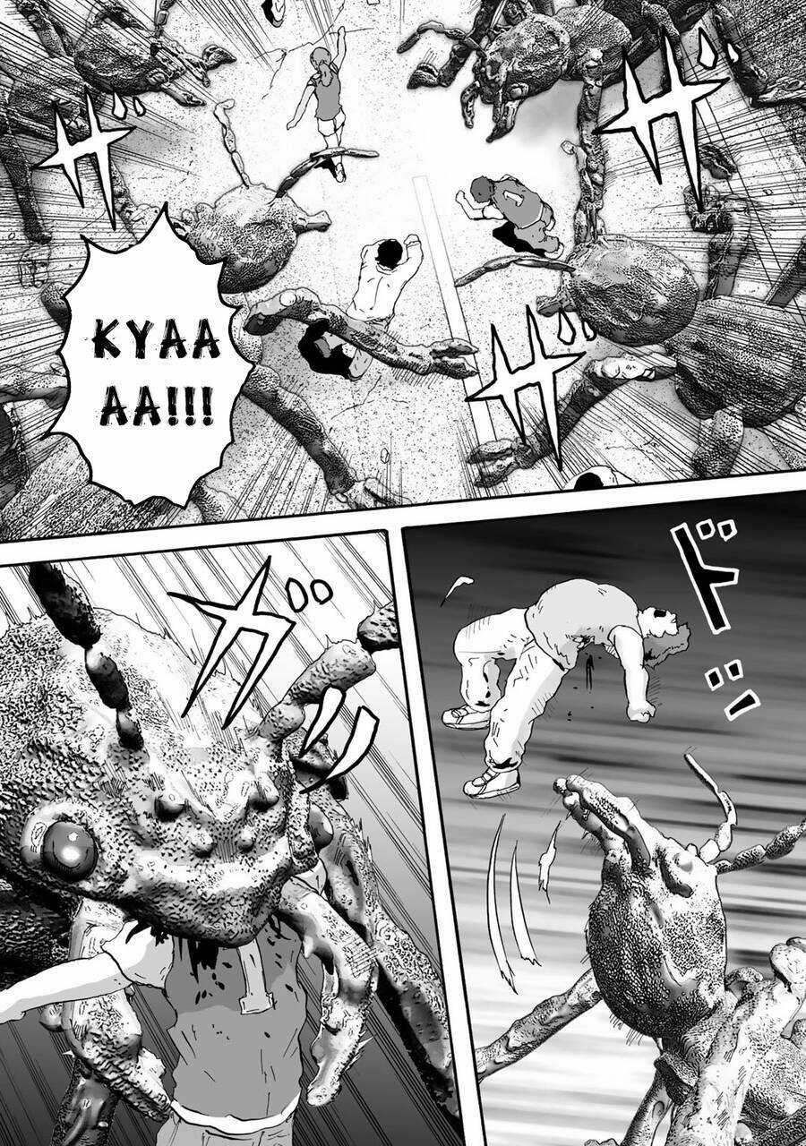 Insects R Chapter 6 trang 20