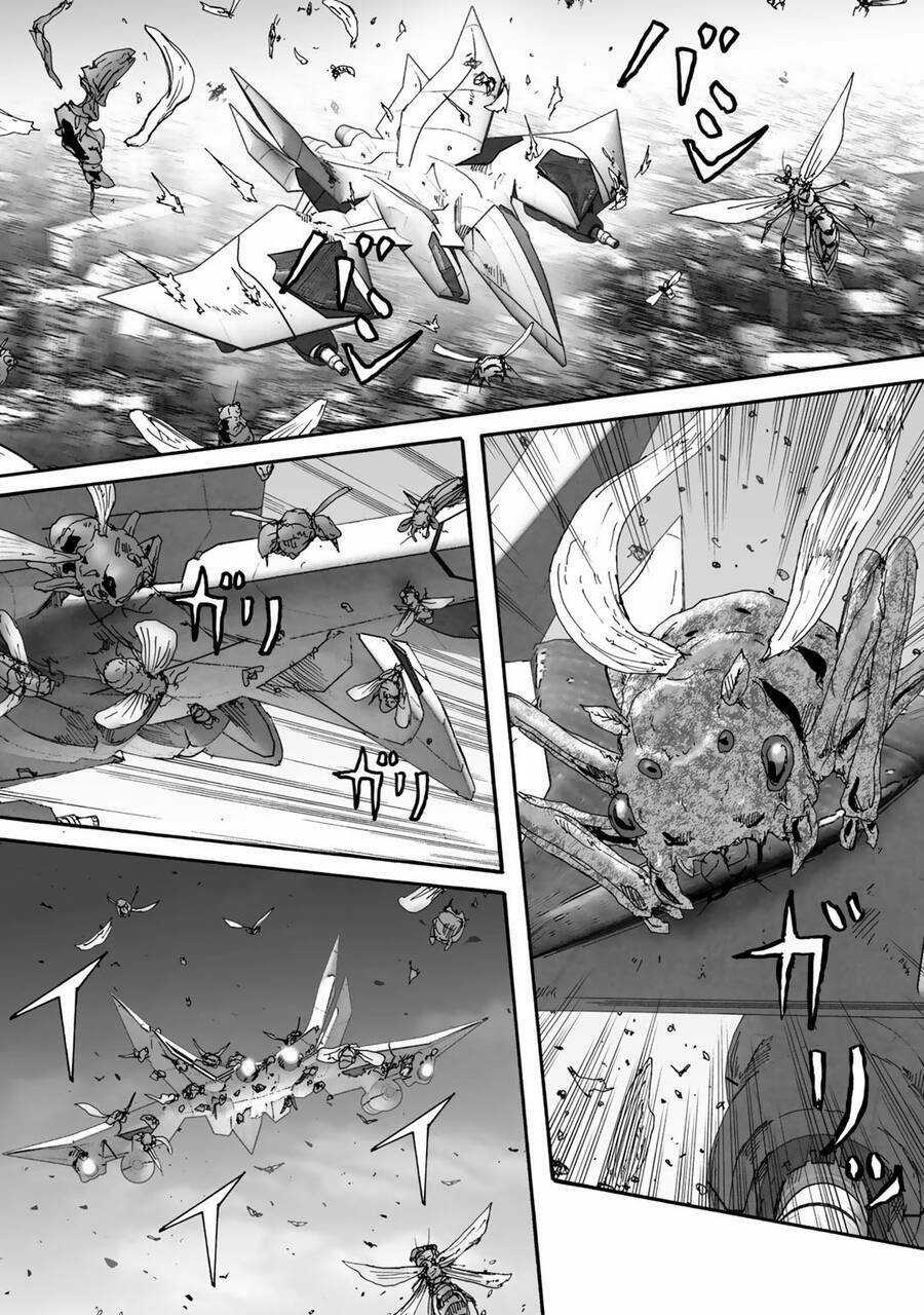 Insects R Chapter 6 trang 27