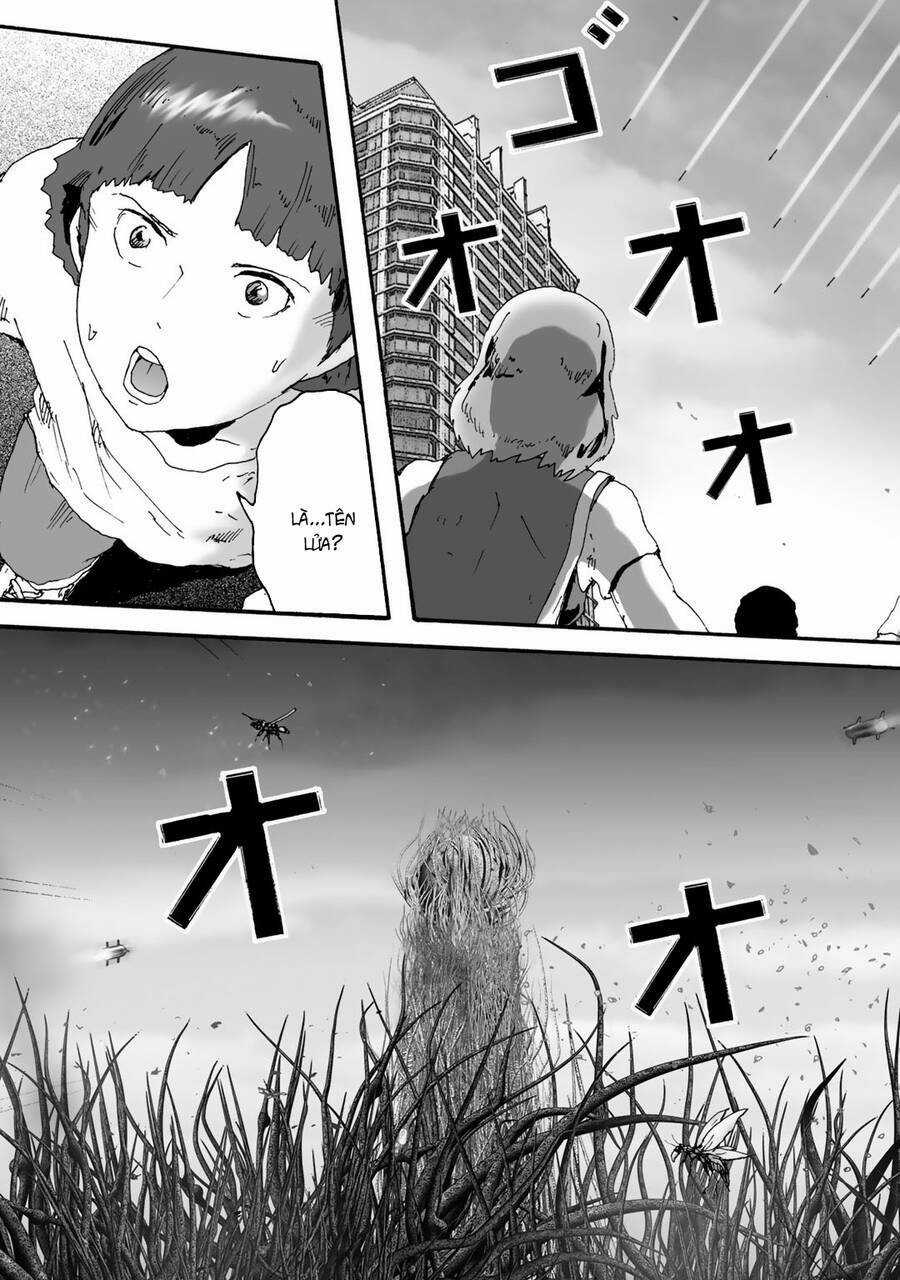 Insects R Chapter 6 trang 36