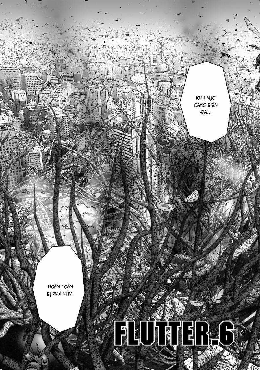 Insects R Chapter 6 trang 5