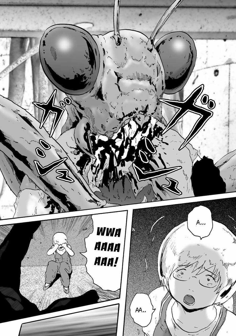 Insects R Chapter 6 trang 9