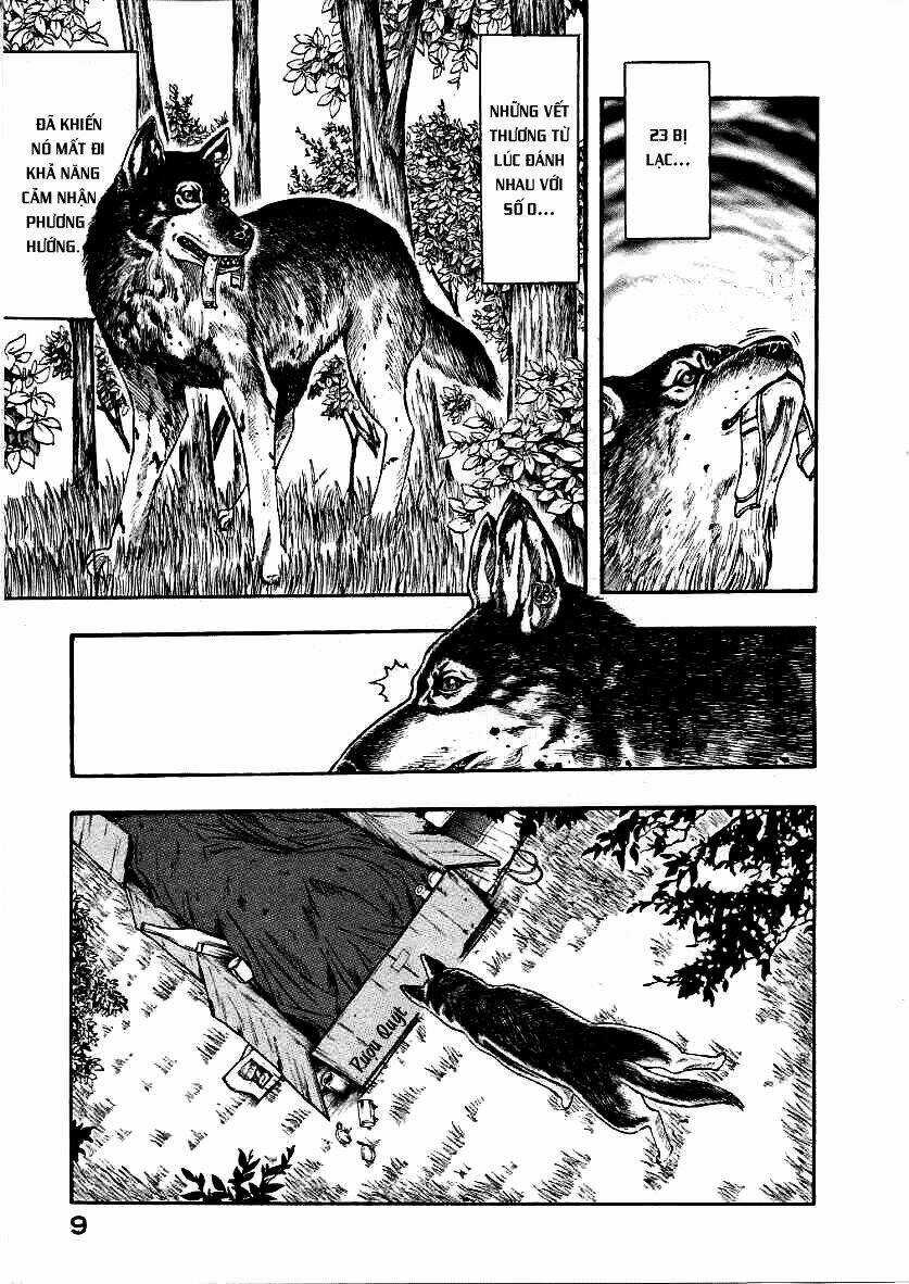 Inugami Chapter 10 trang 11