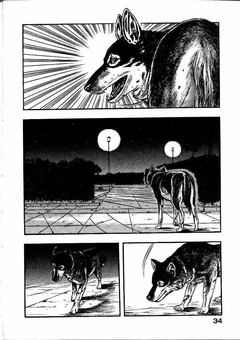 Inugami Chapter 10 trang 36
