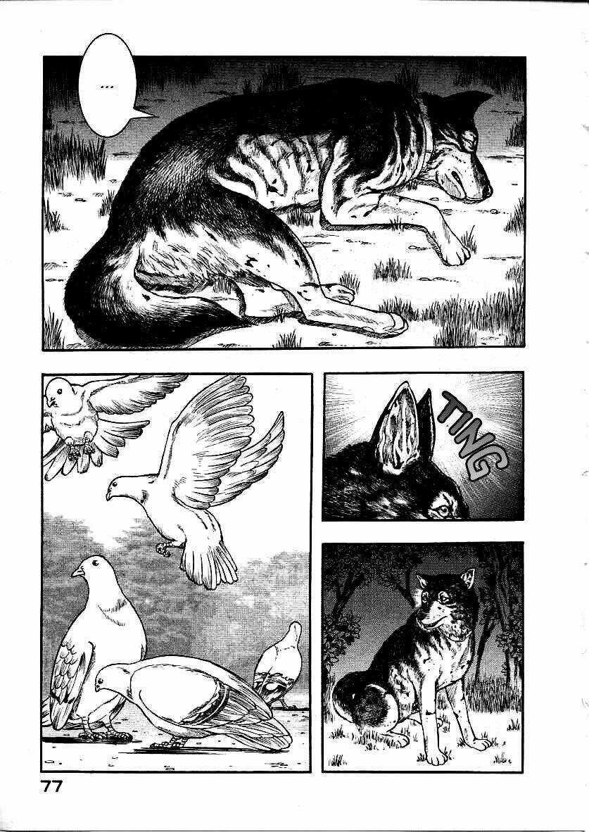 Inugami Chapter 11 trang 34