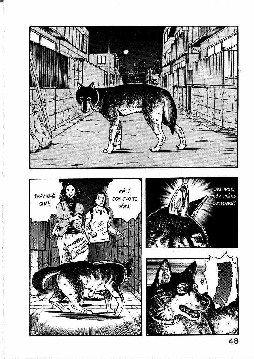 Inugami Chapter 11 trang 5