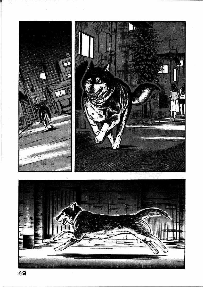 Inugami Chapter 11 trang 6