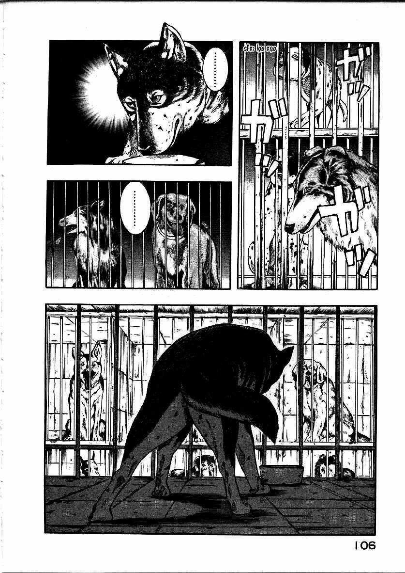 Inugami Chapter 12 trang 23