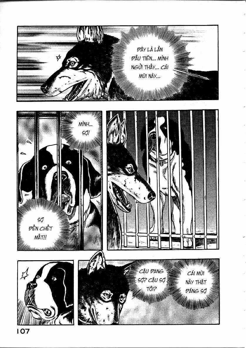 Inugami Chapter 12 trang 24