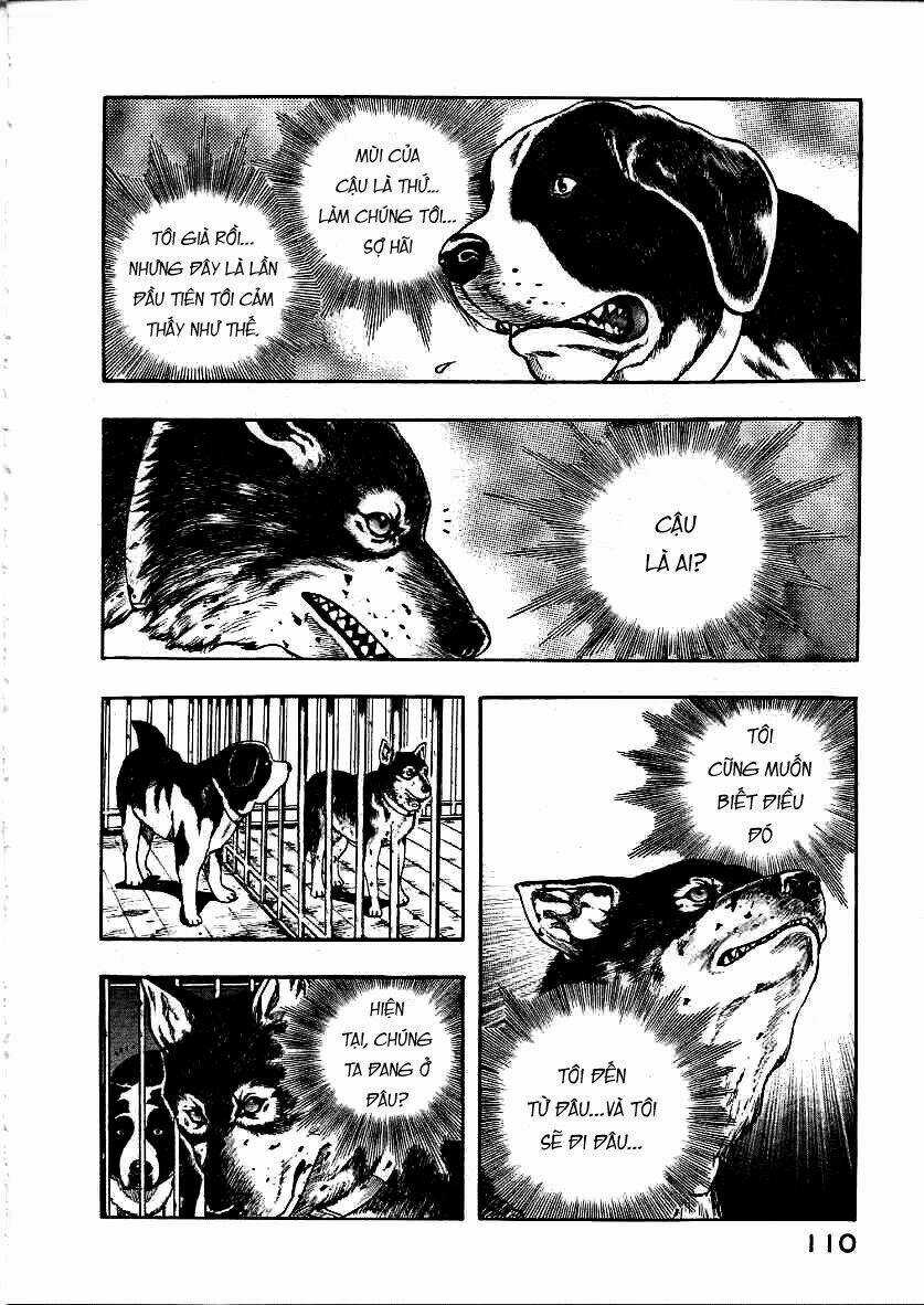 Inugami Chapter 12 trang 27