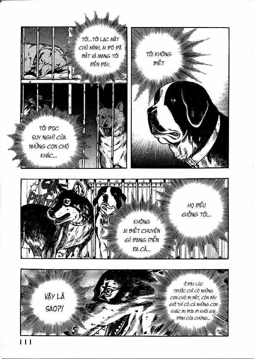 Inugami Chapter 12 trang 28