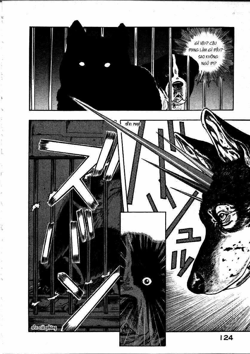 Inugami Chapter 12 trang 41