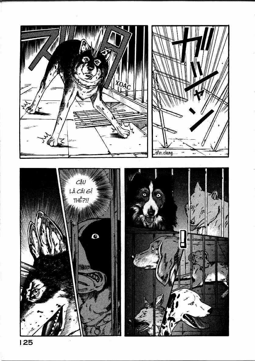 Inugami Chapter 12 trang 42