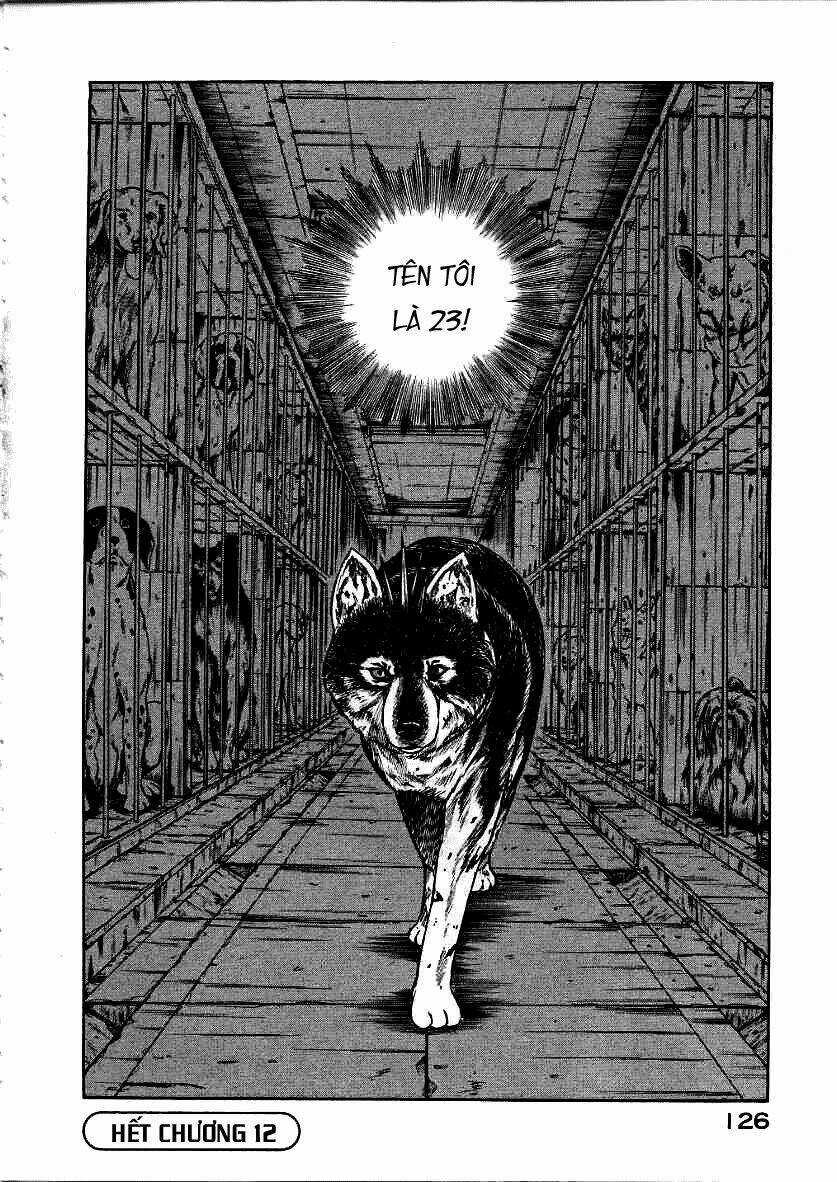 Inugami Chapter 12 trang 43