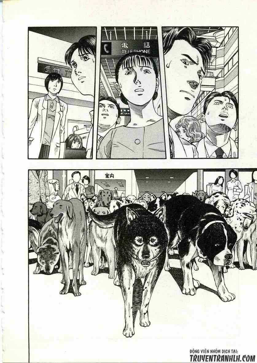 Inugami Chapter 13 trang 36