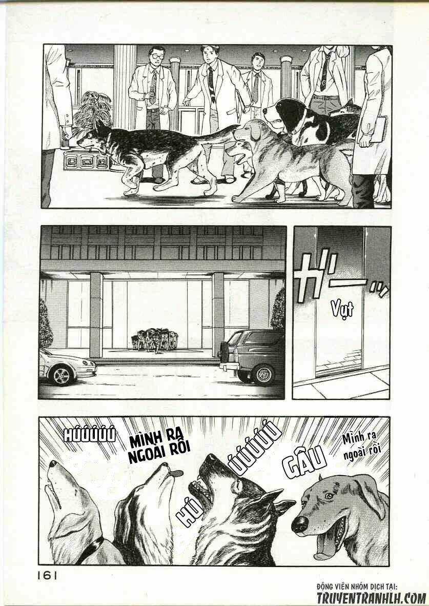 Inugami Chapter 13 trang 37