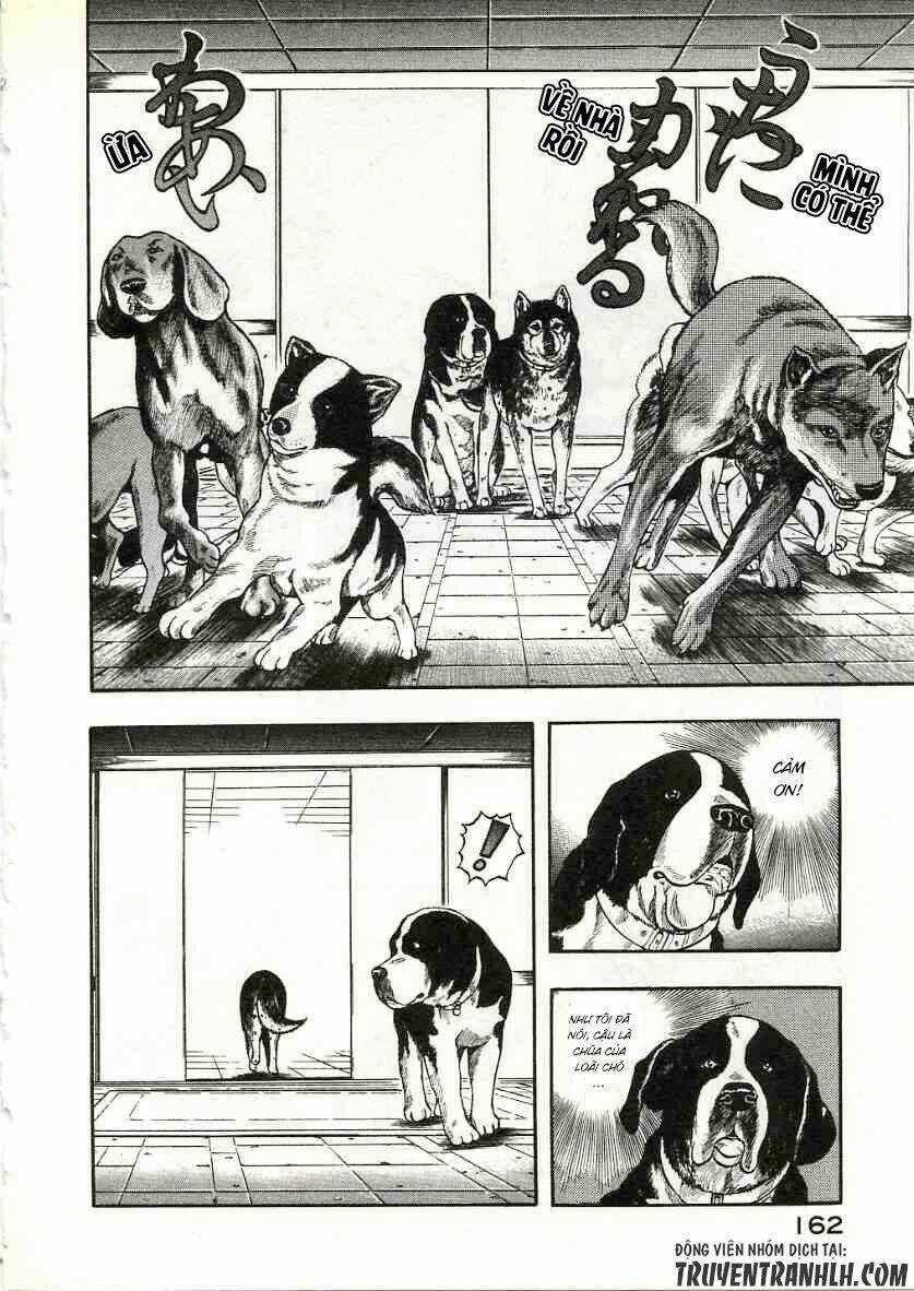 Inugami Chapter 13 trang 38