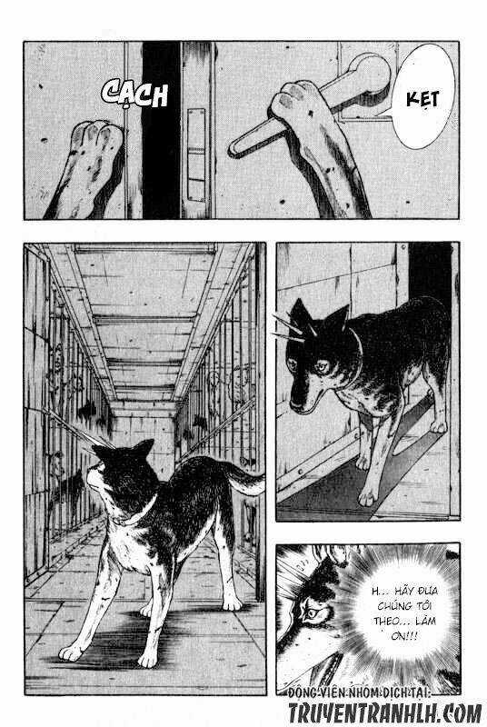 Inugami Chapter 13 trang 4