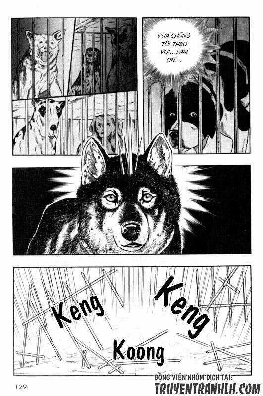 Inugami Chapter 13 trang 5