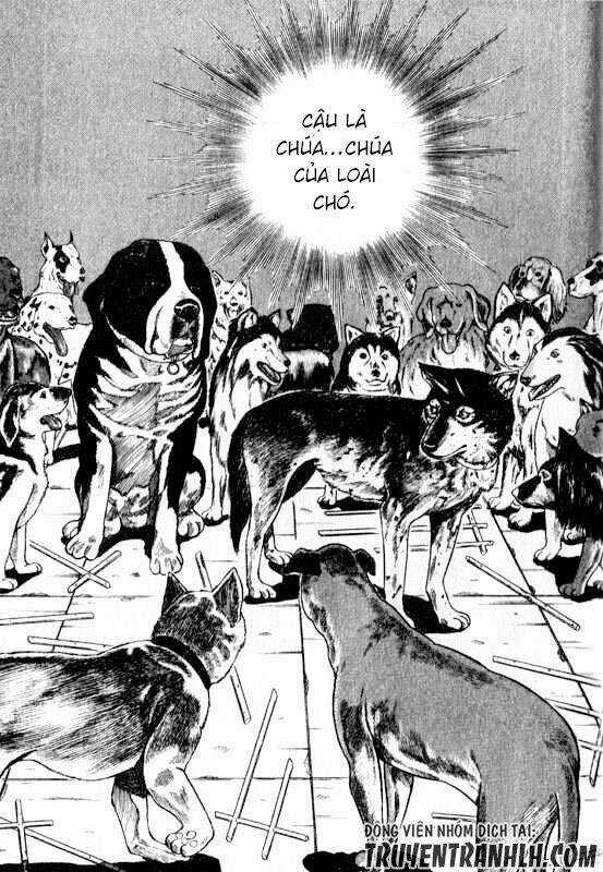 Inugami Chapter 13 trang 7