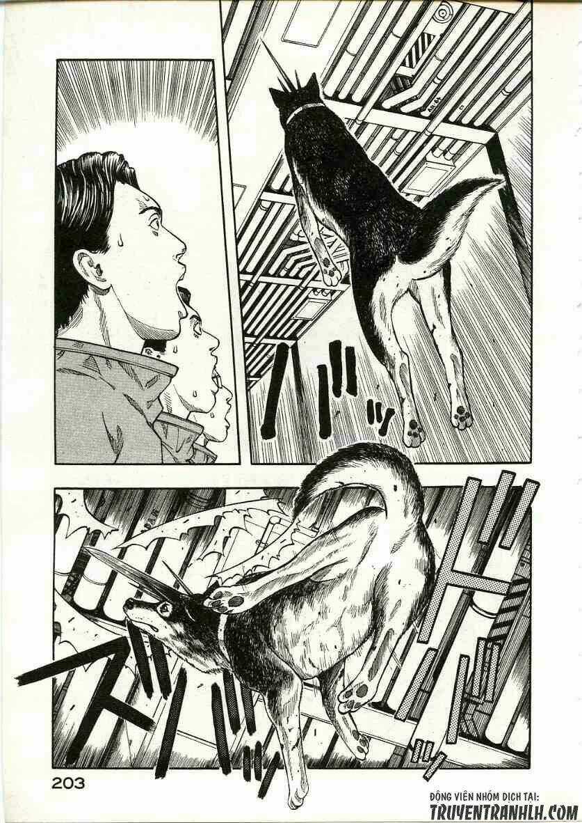 Inugami Chapter 14 trang 37