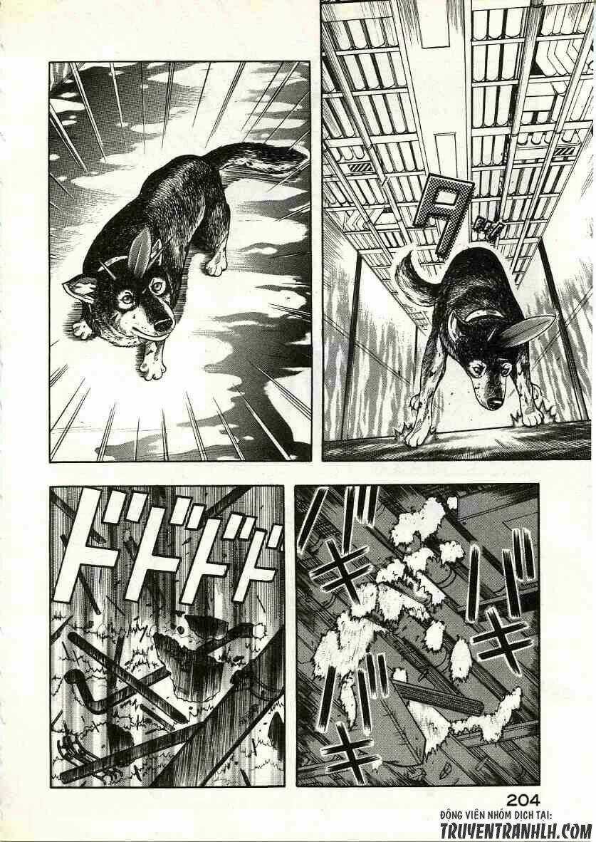 Inugami Chapter 14 trang 38