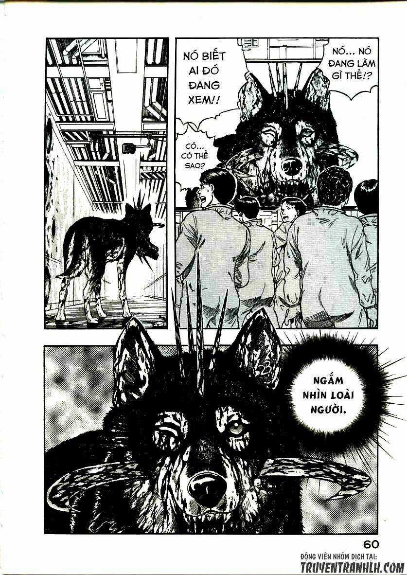 Inugami Chapter 16 trang 20