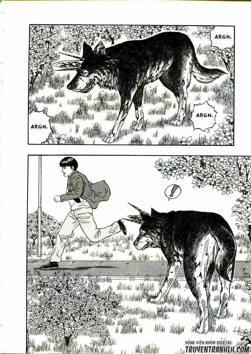 Inugami Chapter 16 trang 37