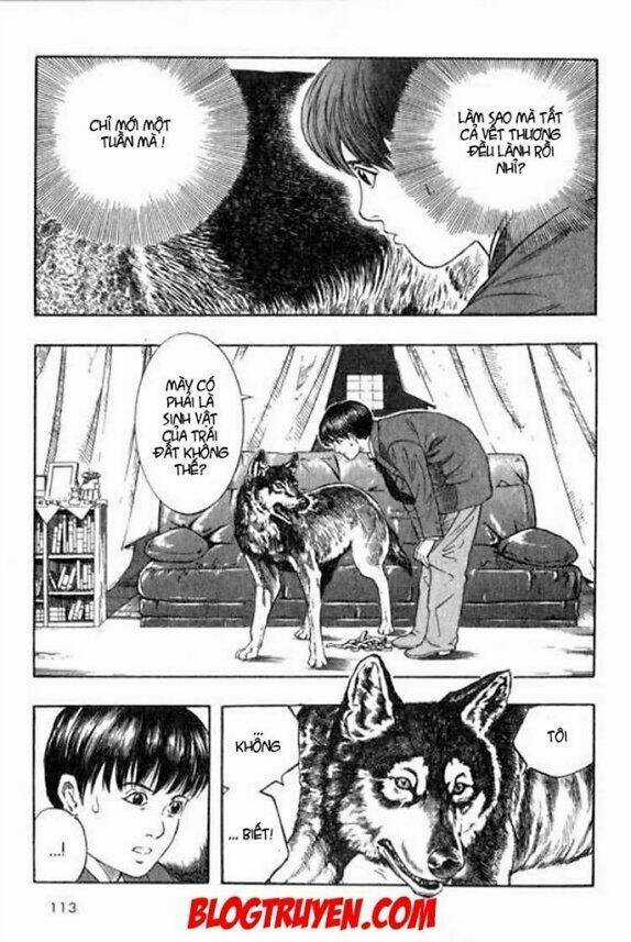 Inugami Chapter 2 trang 11