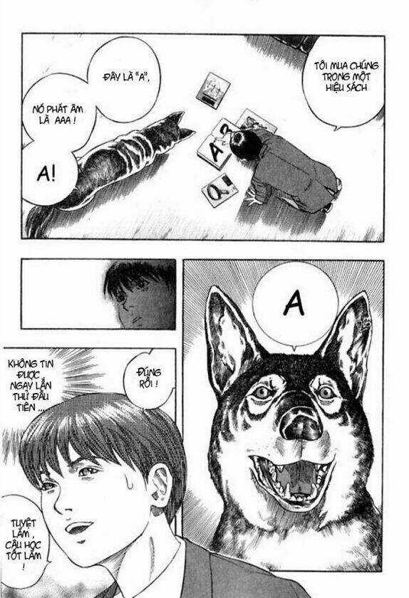 Inugami Chapter 2 trang 13